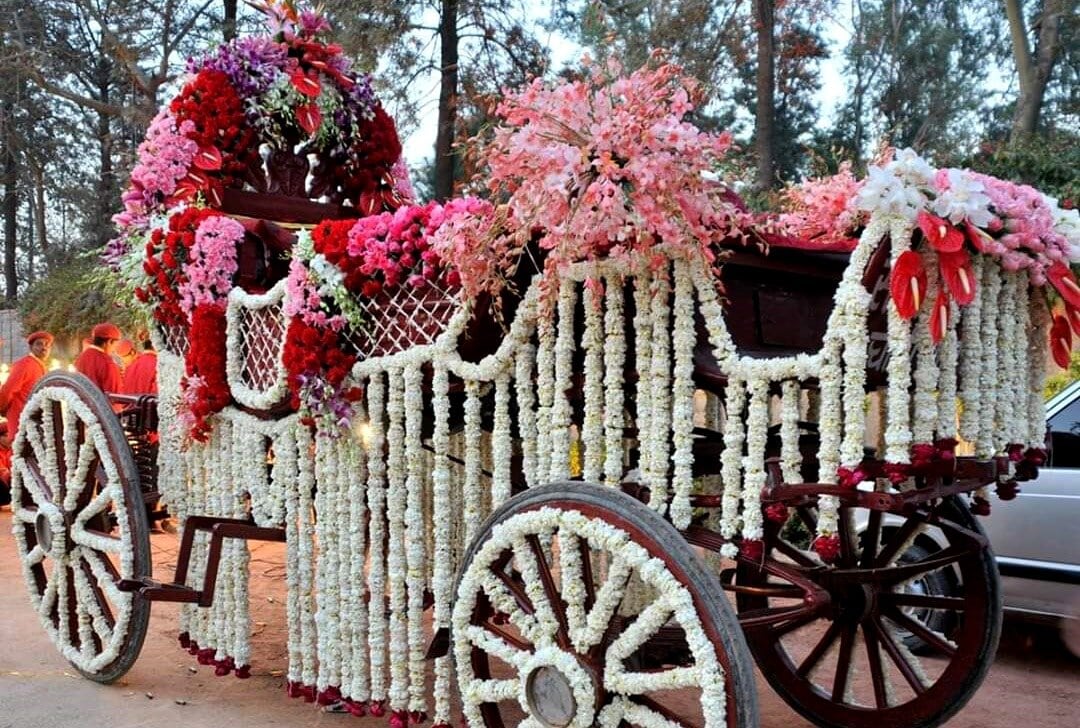 Solanki & Sons Ghoriwala