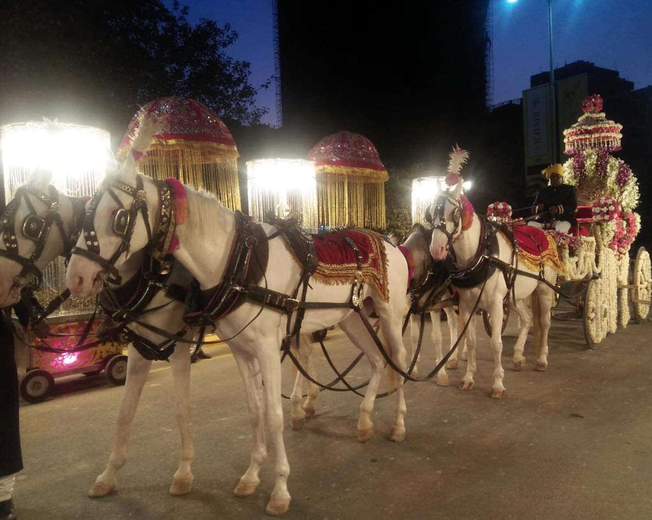 Solanki & Sons Ghoriwala