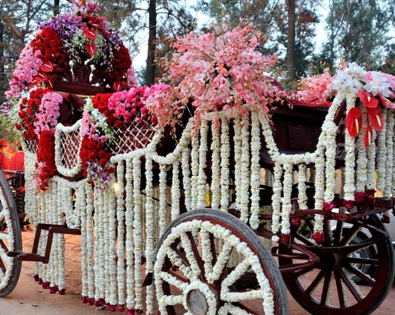 Solanki & Sons Ghoriwala