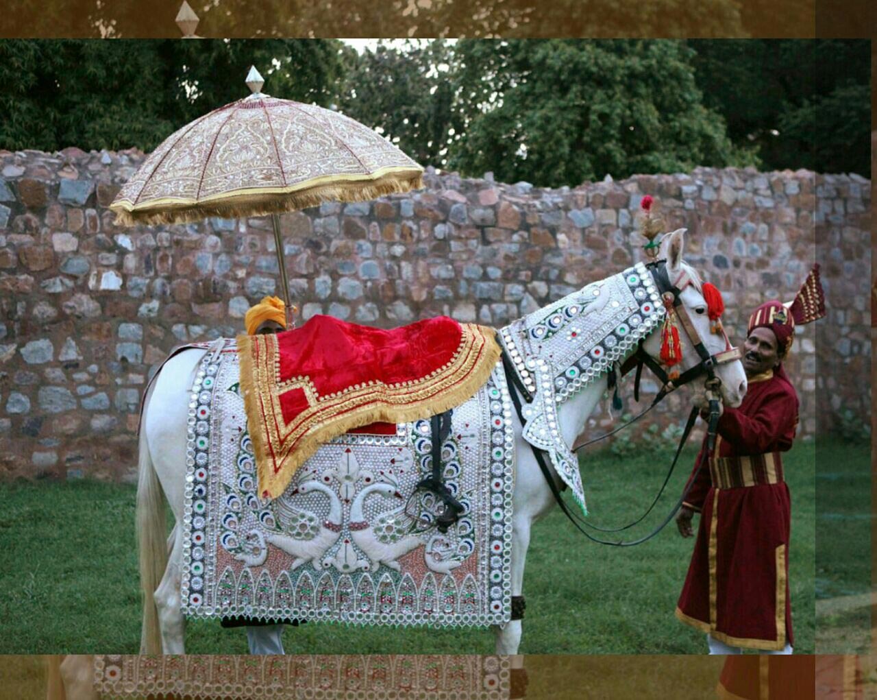 Solanki & Sons Ghoriwala