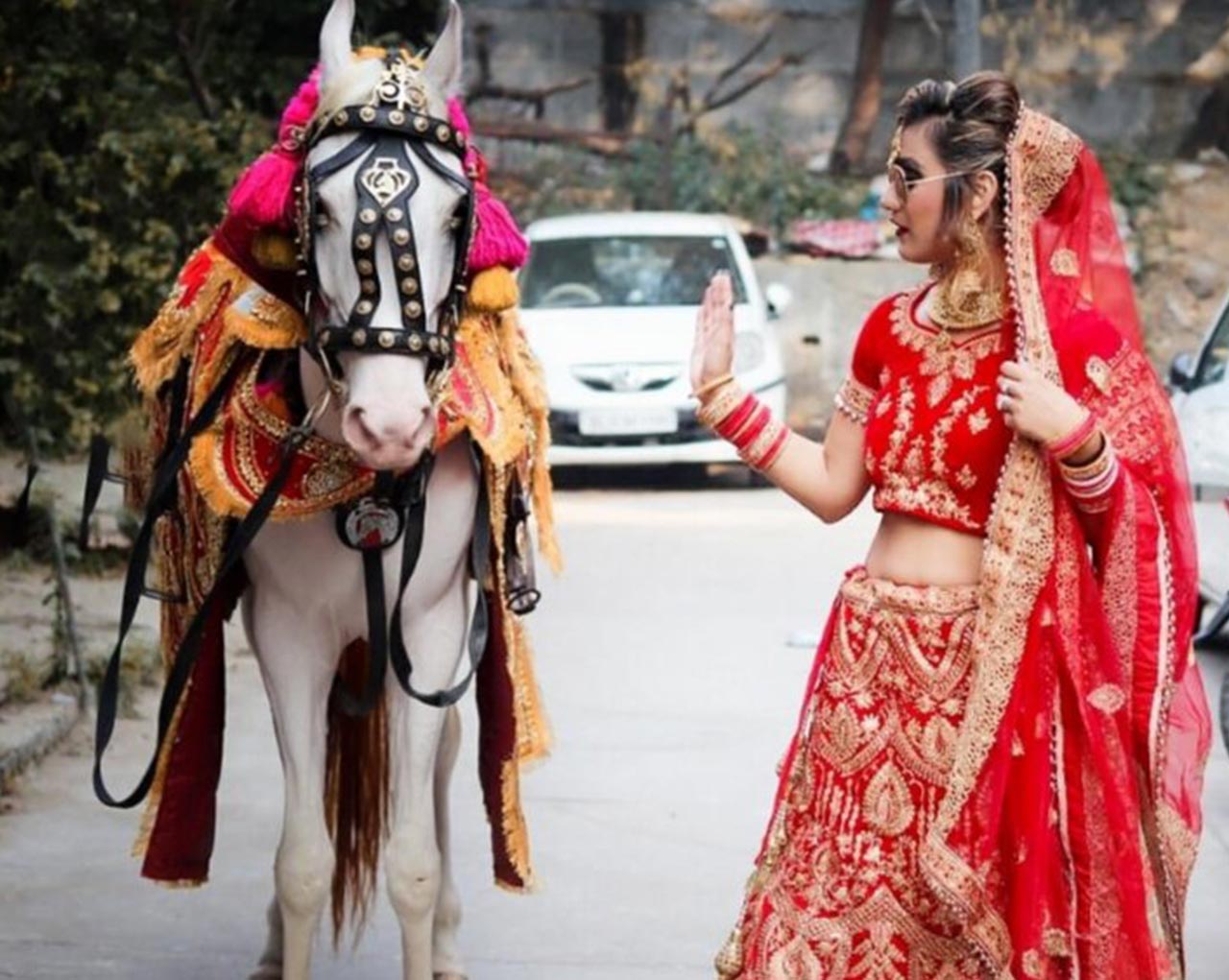 Solanki & Sons Ghoriwala